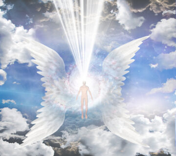 Les Anges incarnés existent-ils ? Si oui qui sont-ils ? A quoi ressemblent-ils ? Comment reconnaître un Ange incarné ?